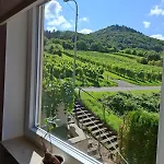 3 Bedroom Burgpanorama Im Haus Frey Mit Ausblick, 2 Baeder, Parken Vor Dem Haus, Balkon, Kueche Appartamento *