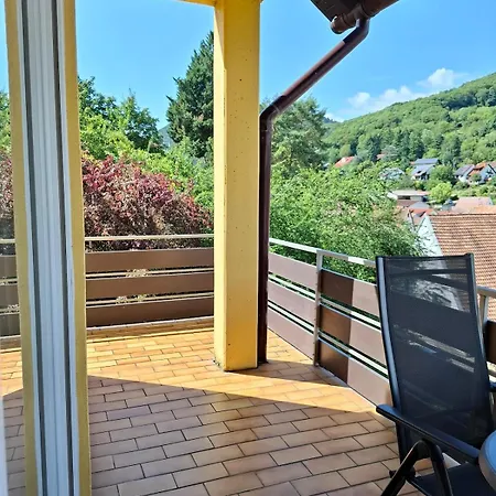 3 Bedroom Im Haus Frey Mit Ausblick, 2 Baeder, Parkplatz, Balkon, Kueche Лайнсвайлер