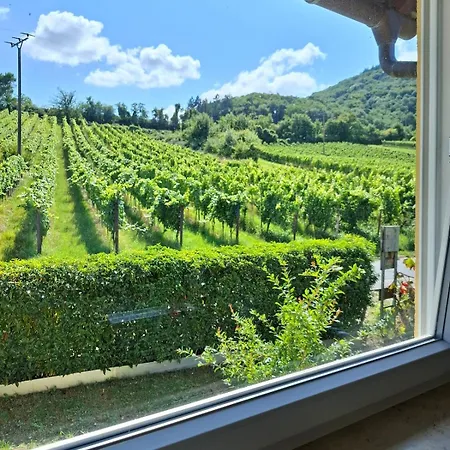 3 Bedroom Burgpanorama Im Haus Frey Mit Ausblick, 2 Baeder, Parken Vor Dem Haus, Balkon, Kueche Leinsweiler