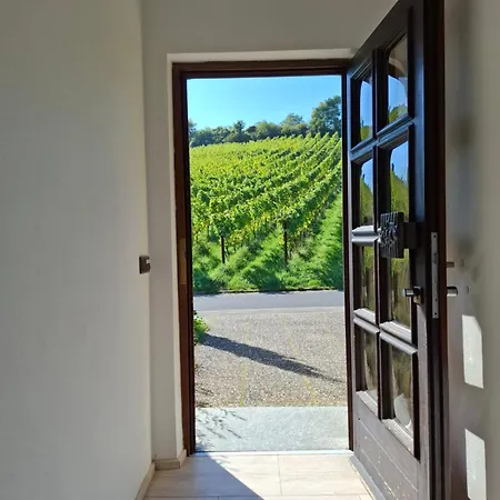 3 Bedroom Burgpanorama Im Haus Frey Mit Ausblick, 2 Baeder, Parken Vor Dem Haus, Balkon, Kueche Apartment *