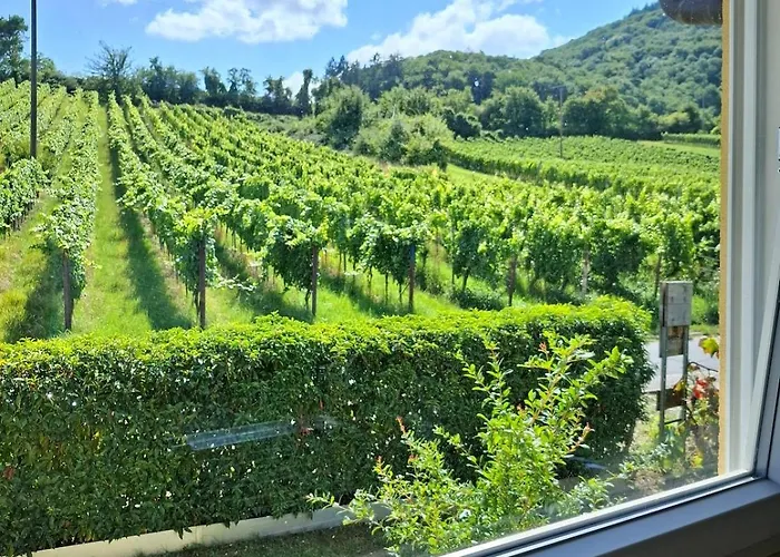 3 Bedroom Burgpanorama Im Haus Frey Mit Ausblick, 2 Baeder, Parken Vor Dem Haus, Balkon, Kueche Leinsweiler
