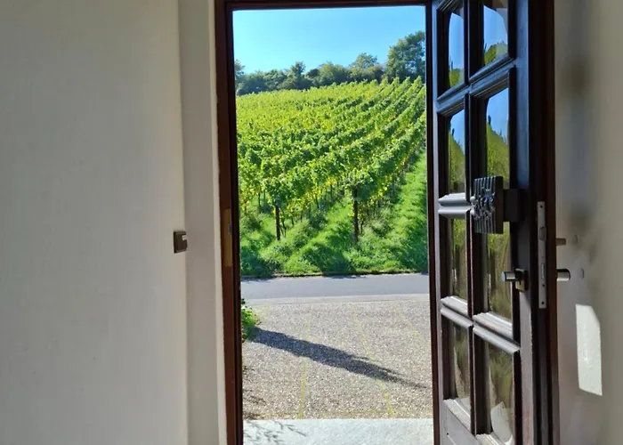 3 Bedroom Burgpanorama Im Haus Frey Mit Ausblick, 2 Baeder, Parken Vor Dem Haus, Balkon, Kueche 公寓 *